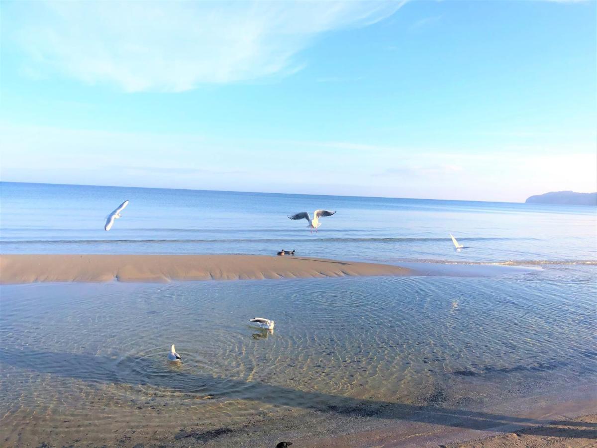 Apartment Haus Caspar David In Strandnaehe Und Zentrumsnah Binz